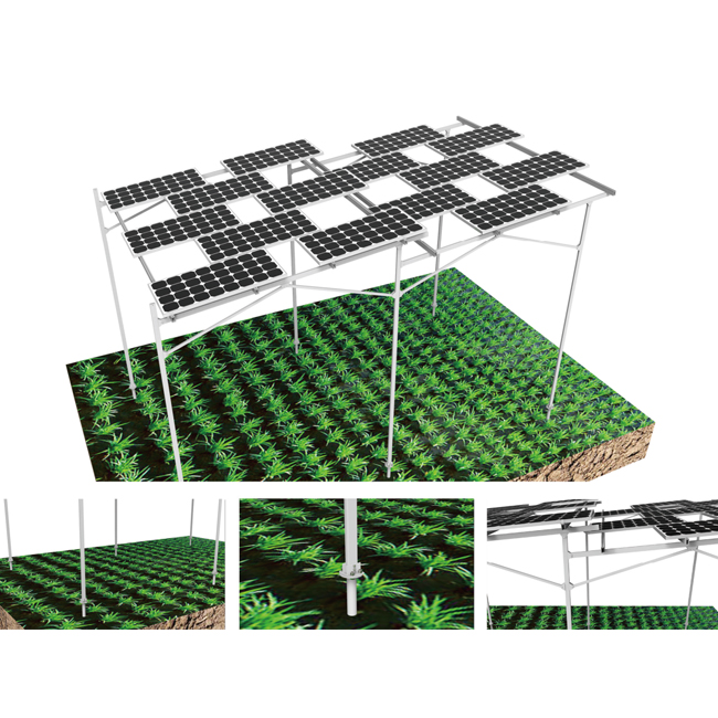 một mô hình quang điện mới nông nghiệp: một mô hình bổ sung của nông nghiệp và quang điện 